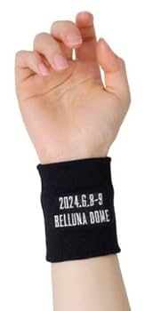 GLAY EXPO缶 2025 一部 銀テープ付 腕章 リストバンド　カップ他 商品詳細ページ | G-DIRECT