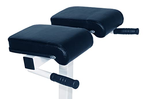 Deltech Fitness Df404 Hyperextension Bench Roman Chair – 400 Lbs Capacity – Fully Adjustable Hyper Extension Back Exercise Fitness Station For Strength Training #TOP4
