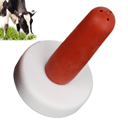 qp Mr  jbv | p Ԃ tB[_[ -  ~Na Mr qM q qr p