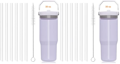 Image of Replacement Straws - Only Compatible with 30 oz & 64 oz (Old Model) Stanley IceFlow Flip Straw Tumbler-Accessories included 6 Straws,1 Cleaning Brush (Pack of 2)