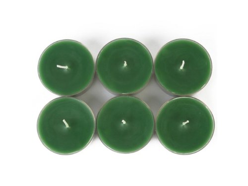 Zest Candle CTM-028_12 144-Piece Mega Oversized Tealight Candle, Hunter Green