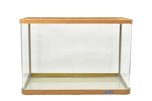(曲げる)600x450x450ガラス水槽 Amazon | ジェックス GEX AQUARIUM ラピレスRV60N 曲げガラス
