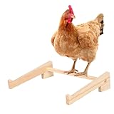 Pavsicgn