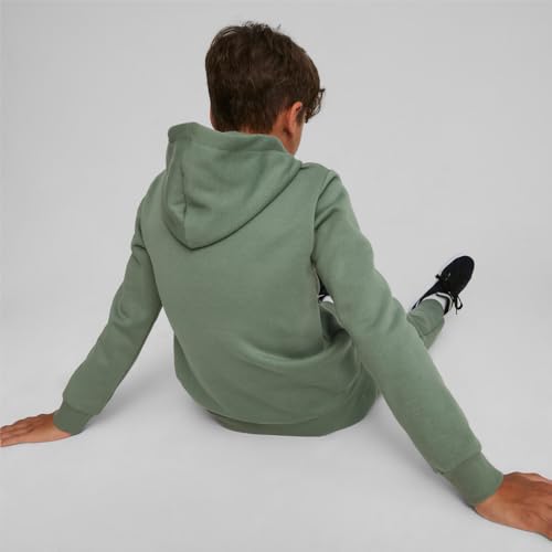 Image of Puma Boys Cotton Hooded Neck Sweatshirt