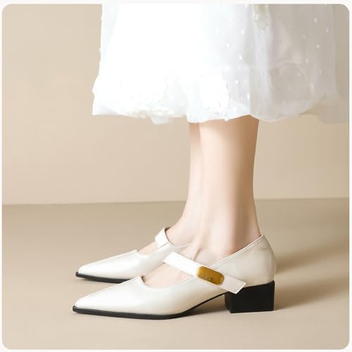 Women’S Ankle Strap Chunky Pumps Closed Pointed Toe Buckle Block Heel Dress Shoes Elegant Wedding Party Shoes4