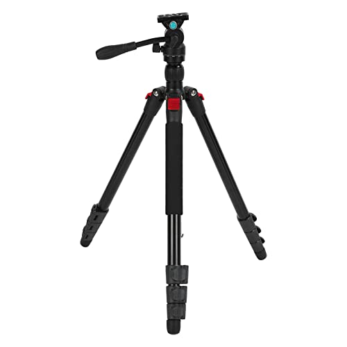 Camera Tripod, Carbon Fiber 63.89 Inch Heavy Duty Portable SLR Camera Stand Adjustable Angle Professional for Camcorder for Travel (TJ-2942 +D36)
