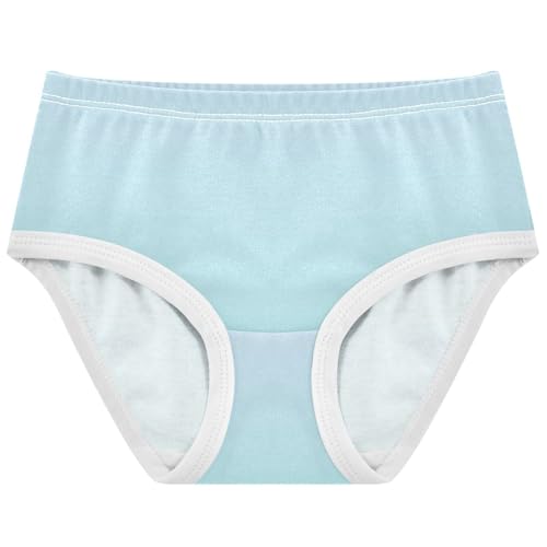 Joisal Girls Underwear Toddlers 2t Cotton Girl Panties Cute Stylish Briefs Girls Undies Elegant Blue Pale Turquoise Gradient