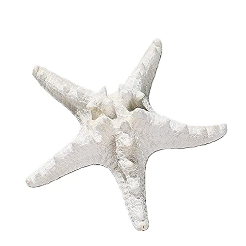 MLEHN 1 Pieza de Estrella de mar Natural, Concha de mar de Estrella Blanca, Manualidades de Bricolaje, decoración de paisajismo de Pared de Concha para Fiesta, hogar, Boda, Acuario, decoración Cover