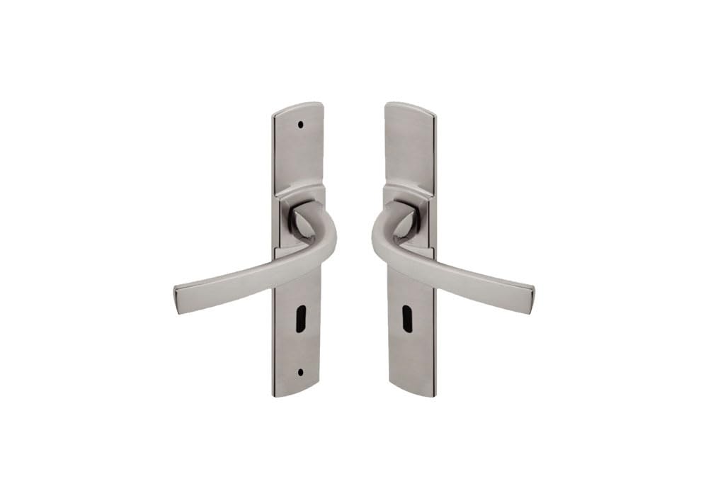 Manija de puerta con placa grande de 195 mm Vachette Muze versión llave L