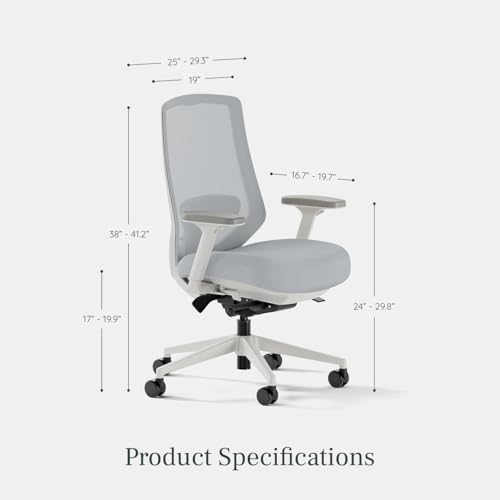 branch ergonomic chair pro