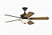 Fanimation FP8094DZ Camhaven v2 Fan-Light Kit, Dark Bronze