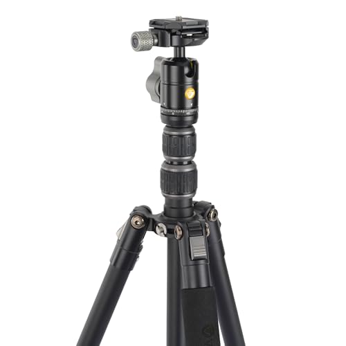 Image of Vanguard VEO 3GO 204AB G2 Lightweight Aluminum Travel Tripod with Arca-Compatible Ball Head, Smartphone Holder, Bluetooth Remote, and Tripod Bag