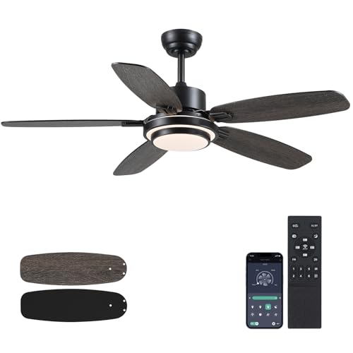 Hounberi Ceiling Fan with Light and Remote/APP Control,50' Black Ceiling Fan with DC Reversible...