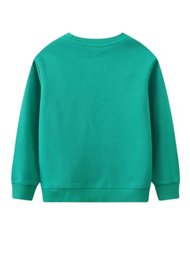Boys Sweatshirts Casual Sweatshirts Cotton Sweatshirts Long Sleeve T-shirts Crew Neck Cartoon Tops for Boys-1202