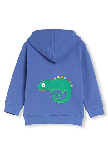 kIDio Organic Cotton Baby Infant Toddler Zip-up Hoodie Applique - Boy Girl (0-4 Years) (18M (12-18 Months), Blue Lizard)
