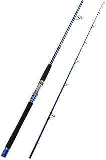 Fiblink 2-Piece Saltwater Spinning Fishing Rod Offshore Graphite Portable Fishing Rod (7-Feet) (7' Heavy)