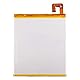 Swark Ersatz Akku L16D1P34 Kompatibel mit Lenovo Tab4 8 Tab4 8 Plus TB-8704X TB-8504X TB-8504N mit Werkzeugen