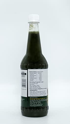Image of RK Home Made Natural Syrup | Variyali Elaichi Concentrated Syrup | Gluten-Free | 100% Vegan & Low Fat | Perfect Festive Beverage Base