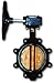 Legend Valve Butterfly Valve Lug Gear 8" Lv116-647