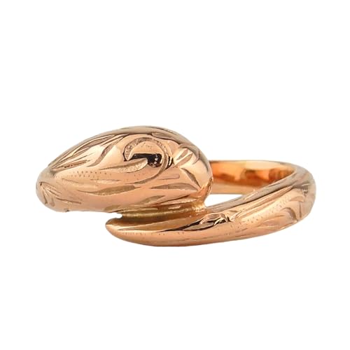 [AnJq] nCAWG[ O w ANZT[  hbv ۂ fUCO T[WJXeX AM[Ή XN[ [YS[h henohenoy[YS[h17z