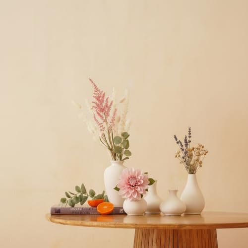 Image of PUREZENTO Ceramic White Japanese Ikebana Vase - Set of 5 | Modern Ceramic Unique Geometric Flower Vases | Vases for Home Decor, Living Room, Dining Table, Office, Shelf, Centerpiece & Showpiece