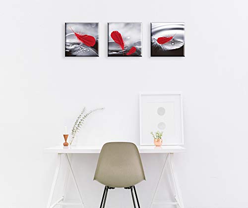 PIY PAINTING Stampa Artistica su Tela, Piume Rosse...