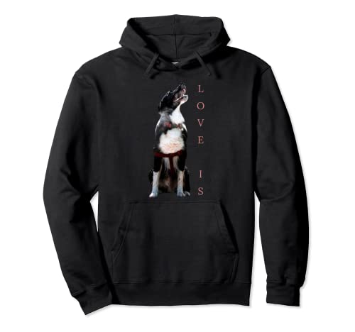 Border Collie Camisa Love Is Dog Mom Dad Pet Puppy Cute Tee Sudadera con Capucha