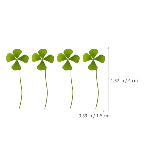 Flores secas prensadas de cuatro hojas para manualidades miniatura 2