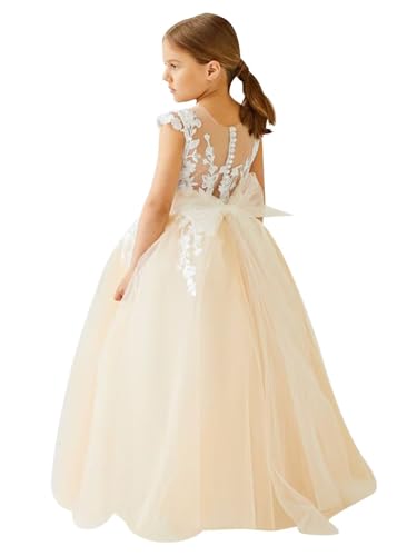 Lace Applique Tulle Flower Girl Dress for Wedding Kids Birthday Pageant Dress Bowknot Princess Prom Ball Gowns