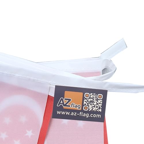 Image of AZ FLAG Singapore 6 meters BUNTING Flag 20 flags 9'' x 6'' - Singaporean STRING flags 15 x 21 cm