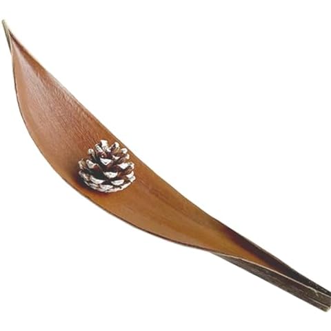 Feuilles de cacao naturelles Celuicion Cover