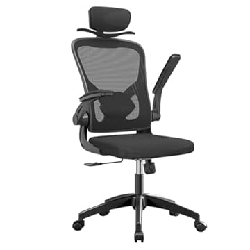 Cadeira de escritório ergonômica com estofado de mesh(Preto)
