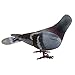 Simulation Foam Pigeon Model, Artificial Imitation Animal Fake Pigeon Simulated Foam Birds for Craft Home Ornaments Garden Wedding Decoration(Random)