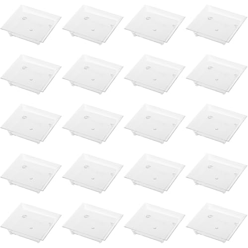 HAKIDZEL 50 ĝēvX`bNM ݖ\[XpM pr~jfBbv{E ϋv ݌vŉƗp