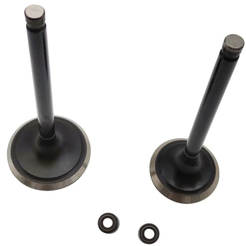 Kit de sello de válvula soluciona fugas de compresión en motor F 500 550 piezas