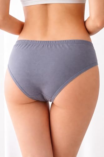 Image of Women's Cotton Brief(Pack of 5) (ZAPPY-12-BORNI-091 Multicoloured 85 cm)