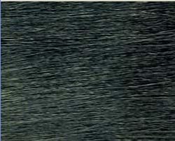 Sensationnel Goddess Select Remi Hair 14" #1