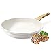 GiPP Nonstick Frying Pan Skillet - 9.5