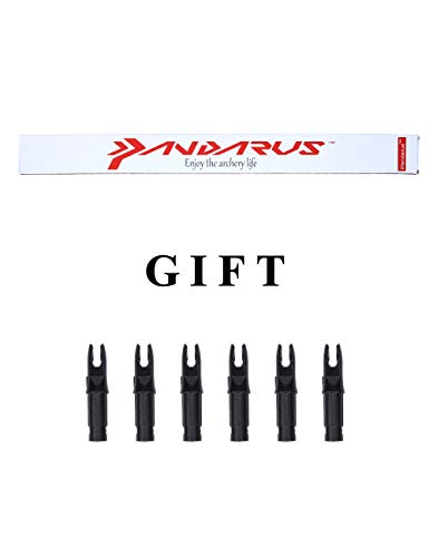 Pandarus Archery 31-Inch Carbon Hunting Arrows, Turkey Feather Fletching With Replaceable Points, Targeting Practice Arrows Spine 500 For Recurve Bow, Longbow, Traditional Bow (Black) #TOP5