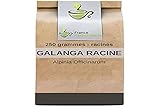 Kräutertee Galanga-Wurzel 250 g - Alpinia officinarum