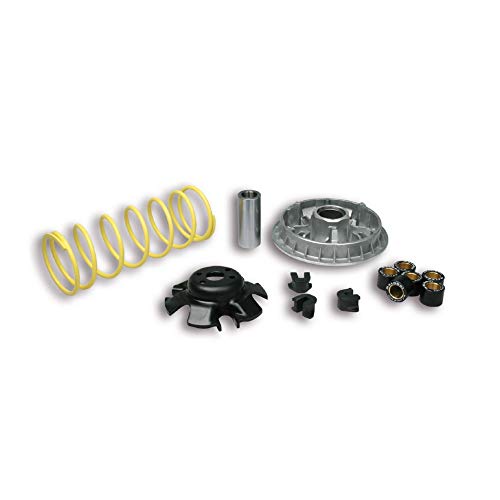  5111838 VARIATORE MALOSSI KYMCO YUP 250 4T LC (SH 50 D) MULTIVAR 2000