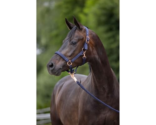 Covalliero Halfter Classy Navy mit roségold, Größe:Cob