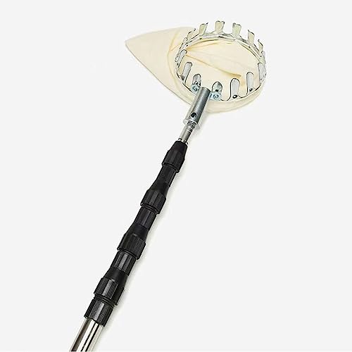 t[csbLOc[ t[csbJ[ XeXLk|[ƌyʃA~jEoXPbgt zܕt|[^uOLOc (Color : Black, Size 3M(9.84FT))