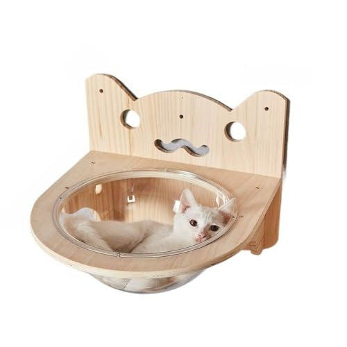 uCARJOYvFD FD EH[ibg EJ f Lpxbh u Ǖt Q ؐ IV lGʗp  LbgEH[N Lbg^[ LbgXebv (Ǌ|yi^j)