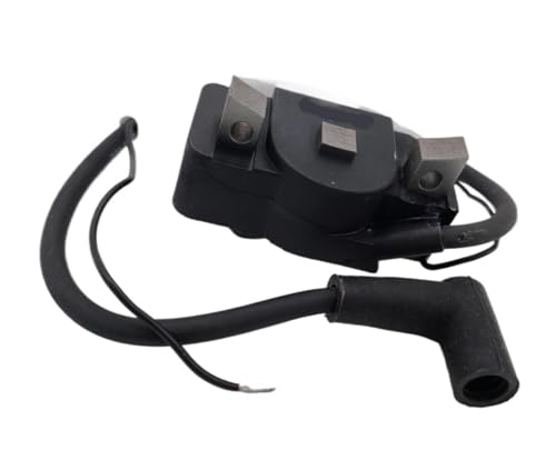Bobine d'allumage WM80 de qualité supérieure pour moteurs 49598 0103302