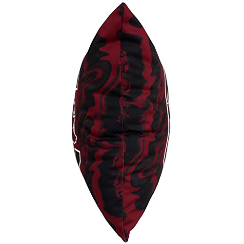 Image of South Carolina Gamecocks 2 Sided Color Swept Decorative Pillow, 16 inch, Made in The USA
