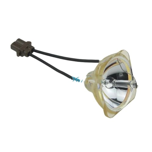 Ampoule de projecteur Dt00781 pour animer vos sessions Hitachi Cp X1