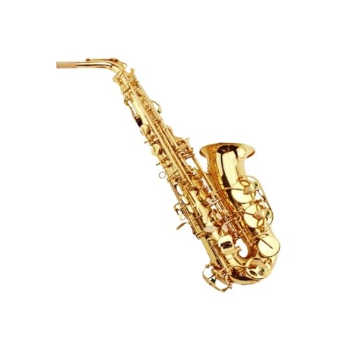 プロ仕様アルトサ�?クス 大人用E♭アルトサ�?クス