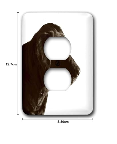 Prise courant laboratoire chocolat 3dRose plaque anti trace