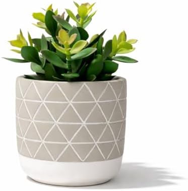 Kurrajong Farmhouse 8" high Artificial Plant in Pot - Small Faux ...